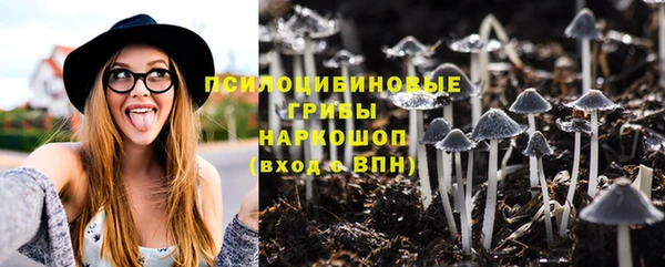 скорость Козловка