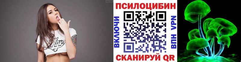Купить где  Чёрмоз  Псилоцибиновые грибы Psilocybe 