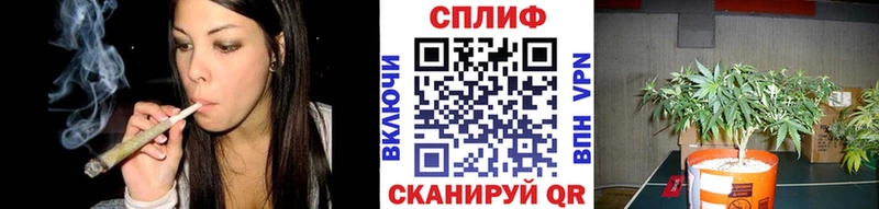 Канабис конопля  Купить где  Чёрмоз 